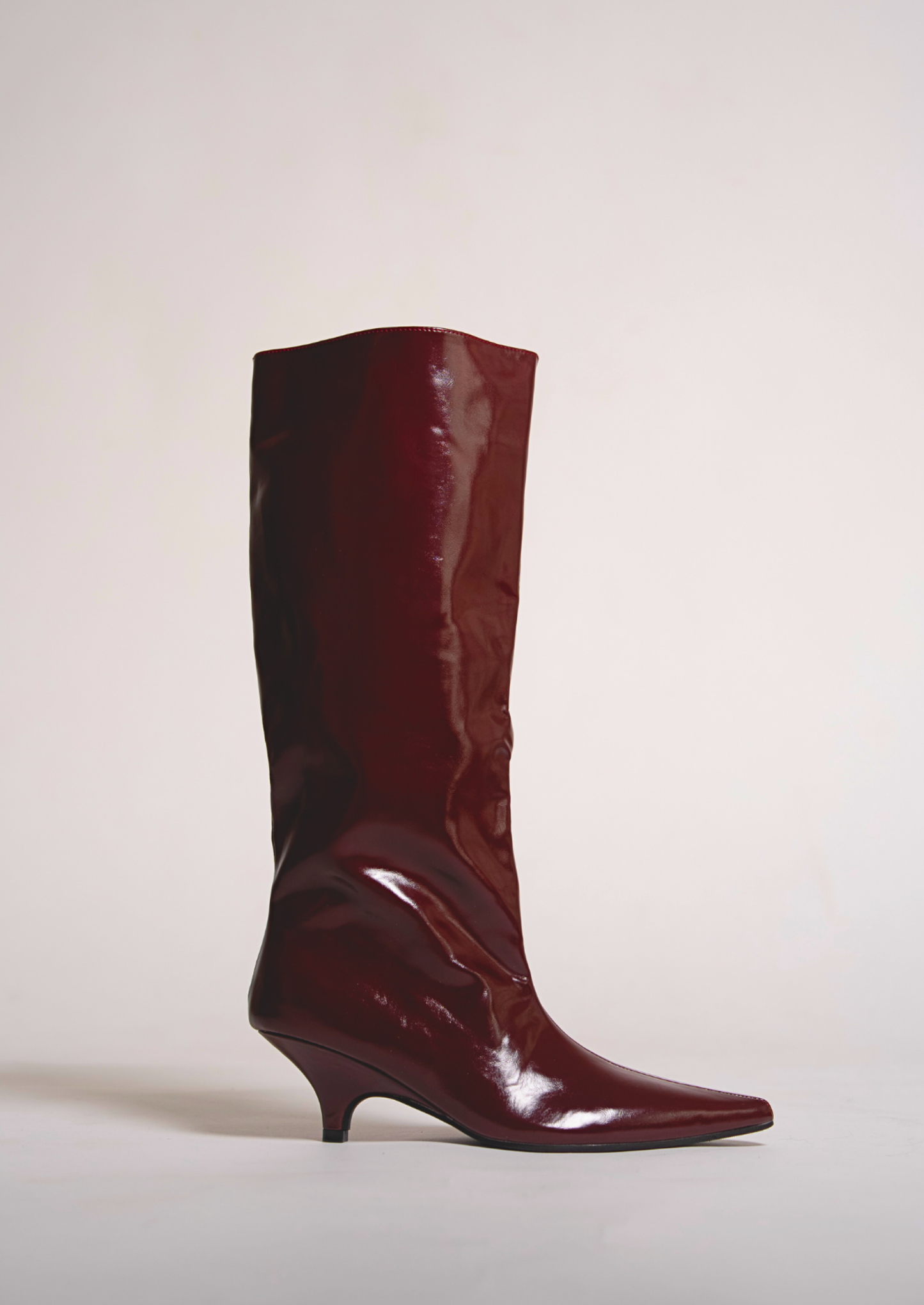 Luna - Bota de caña alta de charol acabada en punta